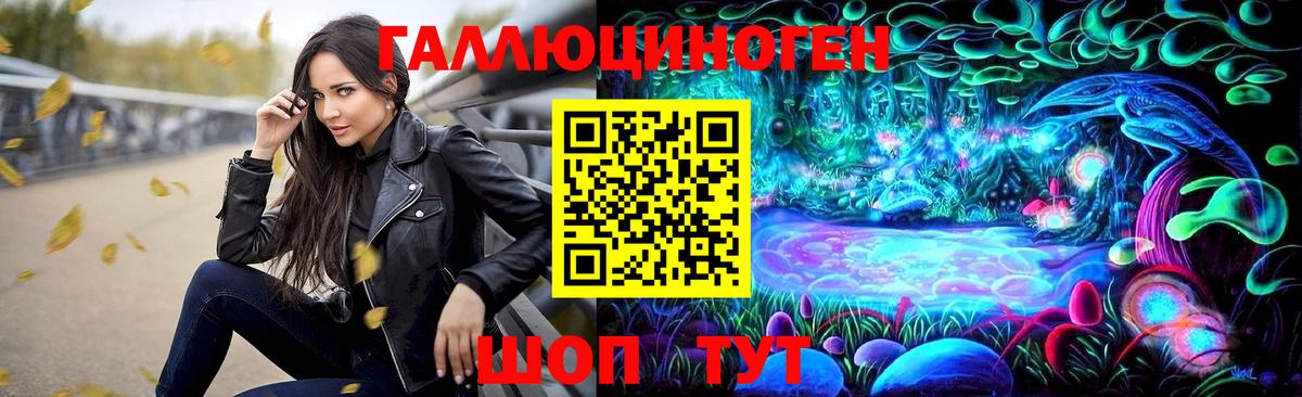 Галлюциногенные грибы Psilocybine cubensis Кизилюрт