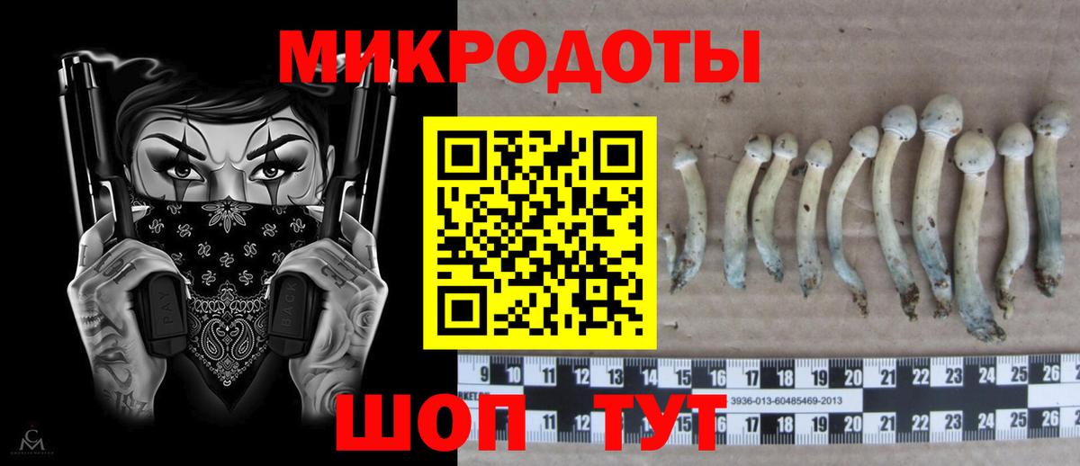 Псилоцибиновые грибы прущие грибы  Вход с VPN  Галлюциногенные грибы Psilocybine cubensis  Кизилюрт 